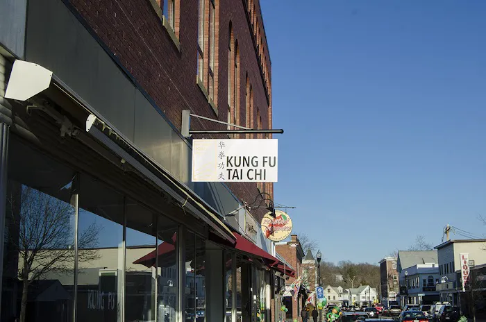 Metrowest Kung Fu Picture 2