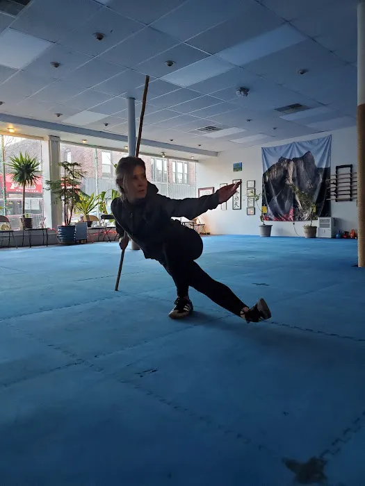 Metrowest Kung Fu Picture 9