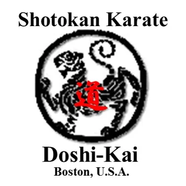 Doshi-Kai Shotokan Karate 道志会 Picture 4