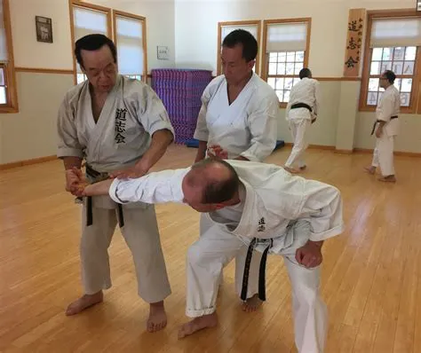 Doshi-Kai Shotokan Karate 道志会 Picture 6