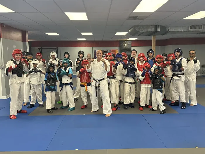 Peter Pippos Karate Center Picture 3