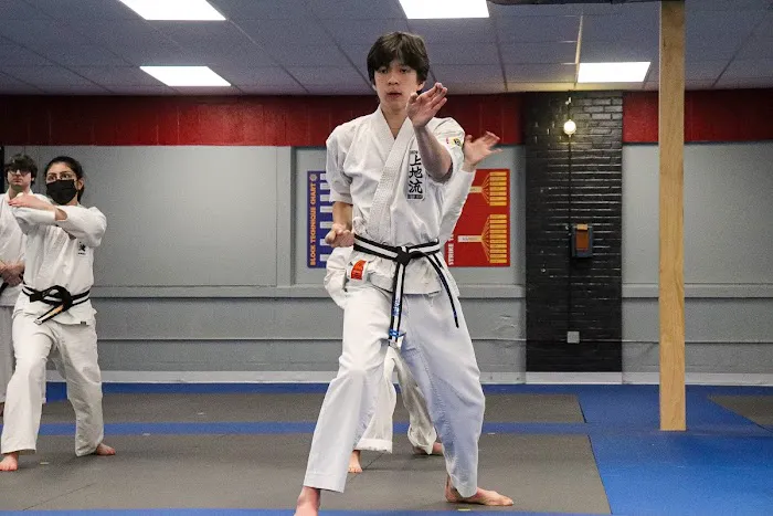 Peter Pippos Karate Center Picture 2