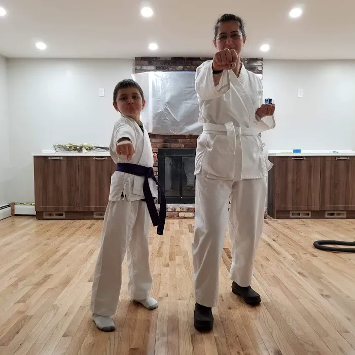 Peter Pippos Karate Center Picture 9