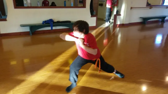 Athletic Balance, LLC d/b/a Chinese Martial Arts Picture 4