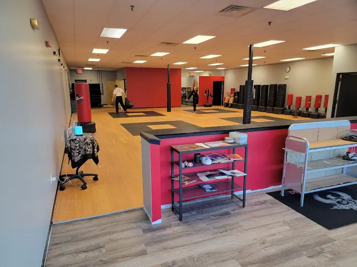 Dragon-Phoenix Martial Arts & Fitness Picture 1