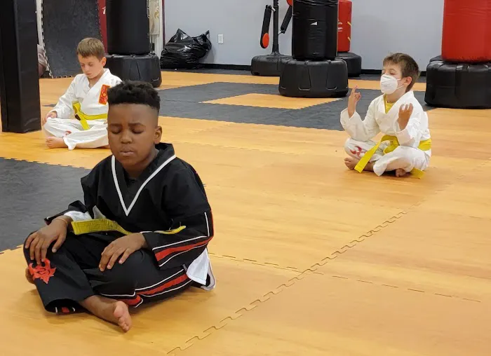 Dragon-Phoenix Martial Arts & Fitness Picture 4