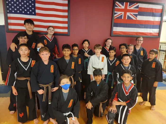 Dragon-Phoenix Martial Arts & Fitness Picture 9