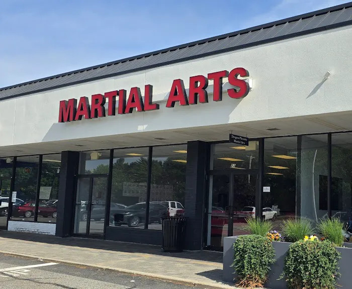 Dragon-Phoenix Martial Arts & Fitness Picture 8