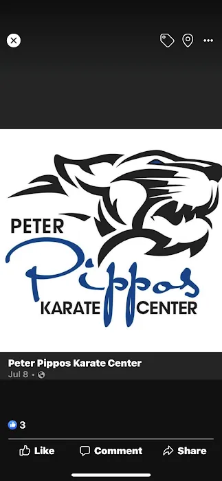 Peter Pippos Karate Center - Chelmsford Picture 1