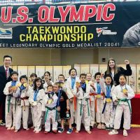 Tiger An's Taekwondo ico