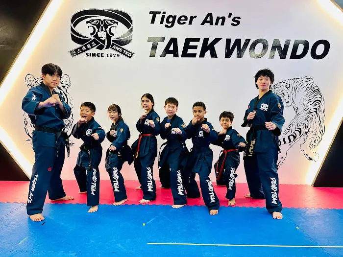 Tiger An's Taekwondo Picture 6