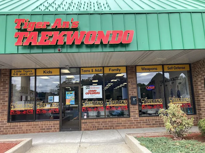 Tiger An's Taekwondo Picture 5