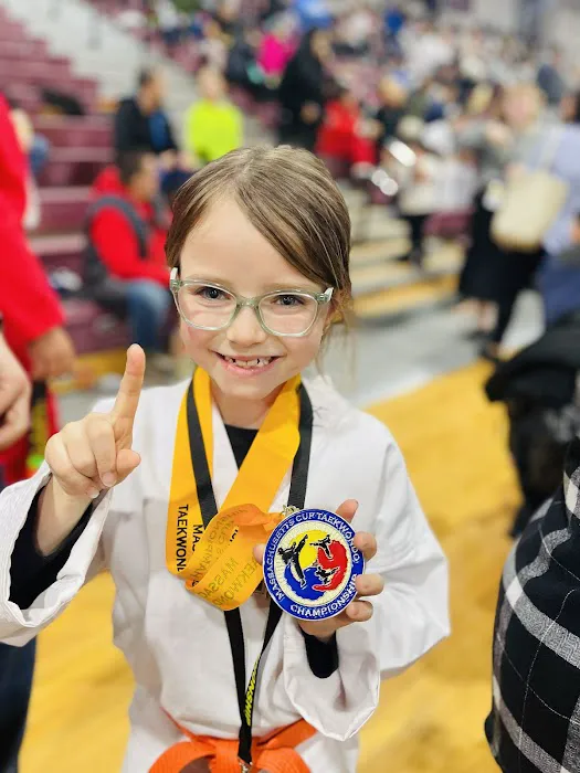 Tiger An's Taekwondo Picture 8