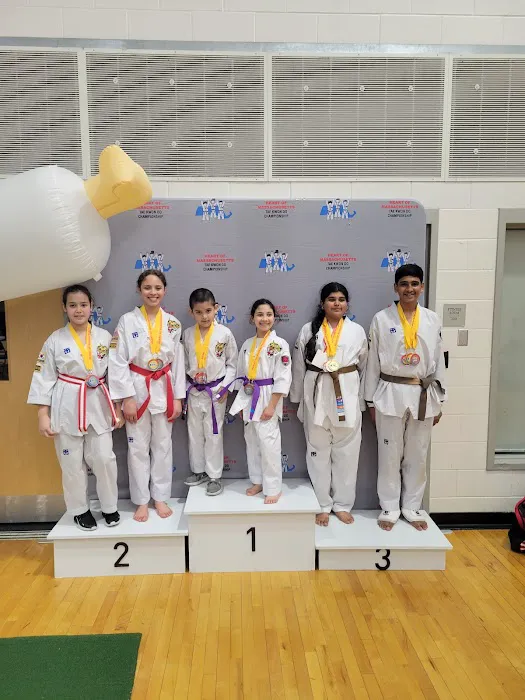 Mu-Sa Total Martial Arts Taekwondo Picture 4