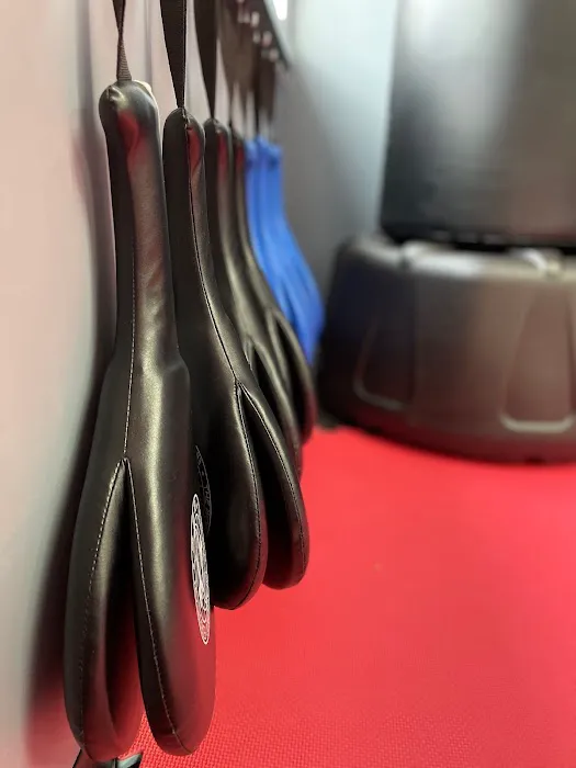 T's Taekwondo Picture 3