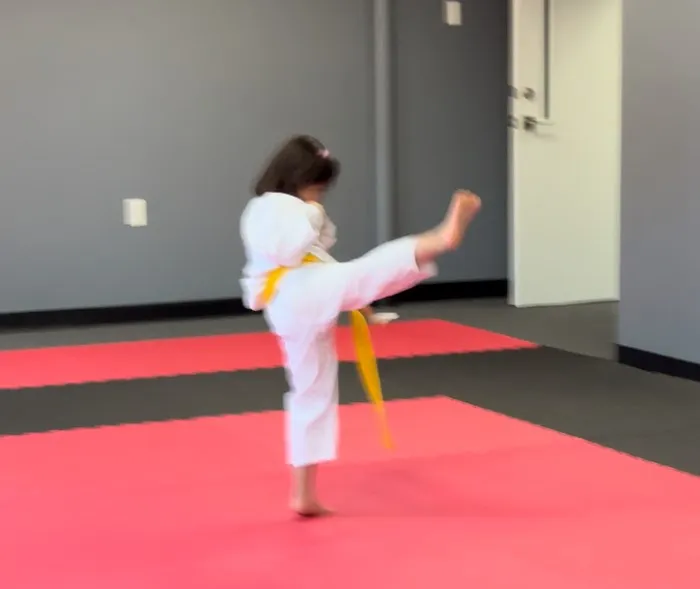 T's Taekwondo Picture 7