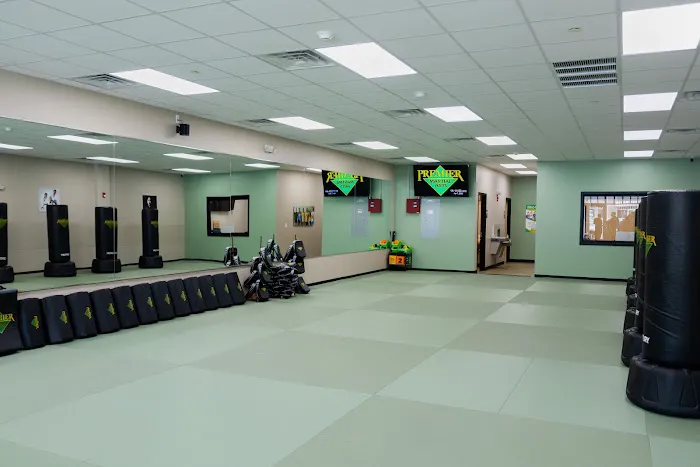 Premier Martial Arts Burlington Picture 3