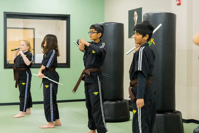 Premier Martial Arts Burlington Picture 8