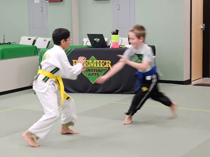 Premier Martial Arts Burlington Picture 9
