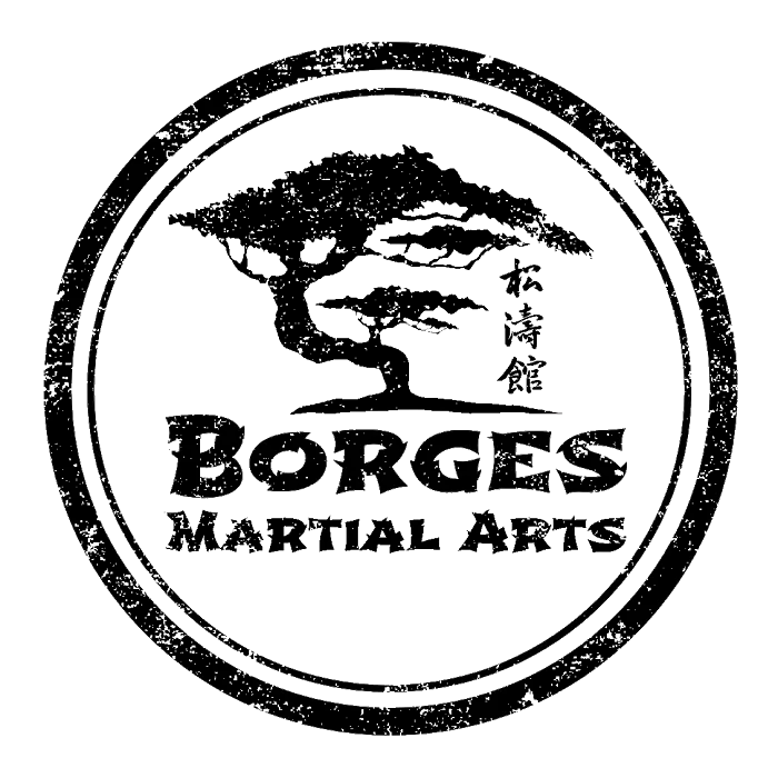 Borges Martial Arts Picture 10