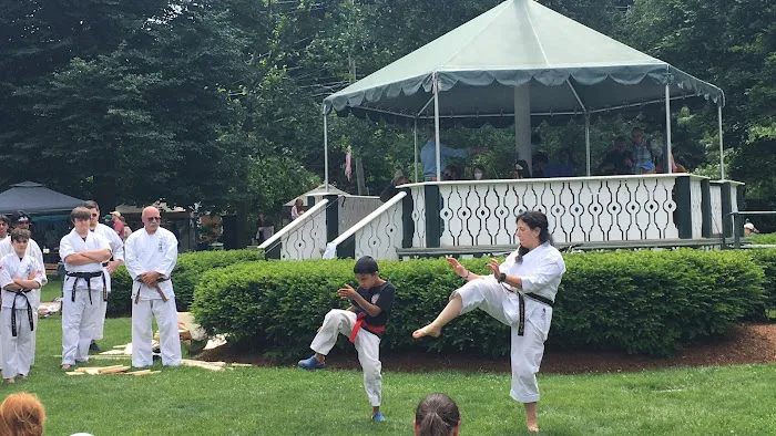 Kessler Karate Academy Picture 4