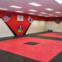 ATA MARTIAL ARTS ico