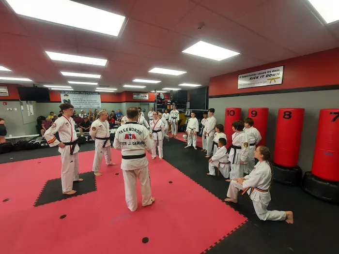 ATA MARTIAL ARTS Picture 9