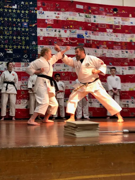 Cote karate studio Picture 4