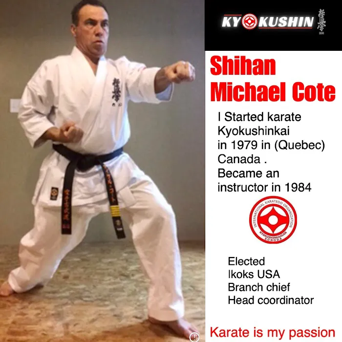 Cote karate studio Picture 11