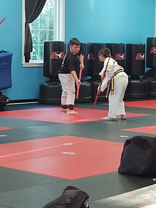 ATA Martial Arts of Merrimack Picture 4