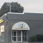 Green Dragons Grodojo