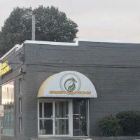 Green Dragons Grodojo ico