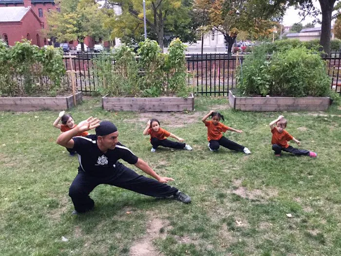 Green Dragons Grodojo Picture 3