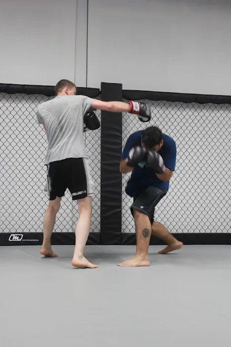 High Speed Defense Picture 1