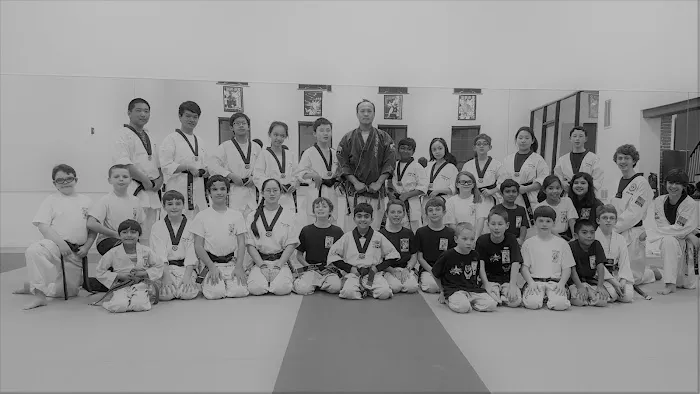 Master Shin's World Class Martial Arts Picture 3
