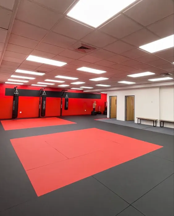 Eight Animal Martial Arts Picture 1