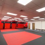 Eight Animal Martial Arts