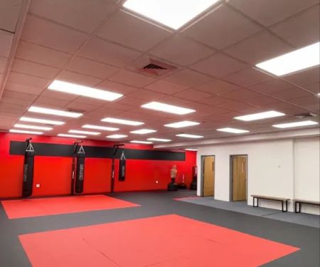 Eight Animal Martial Arts