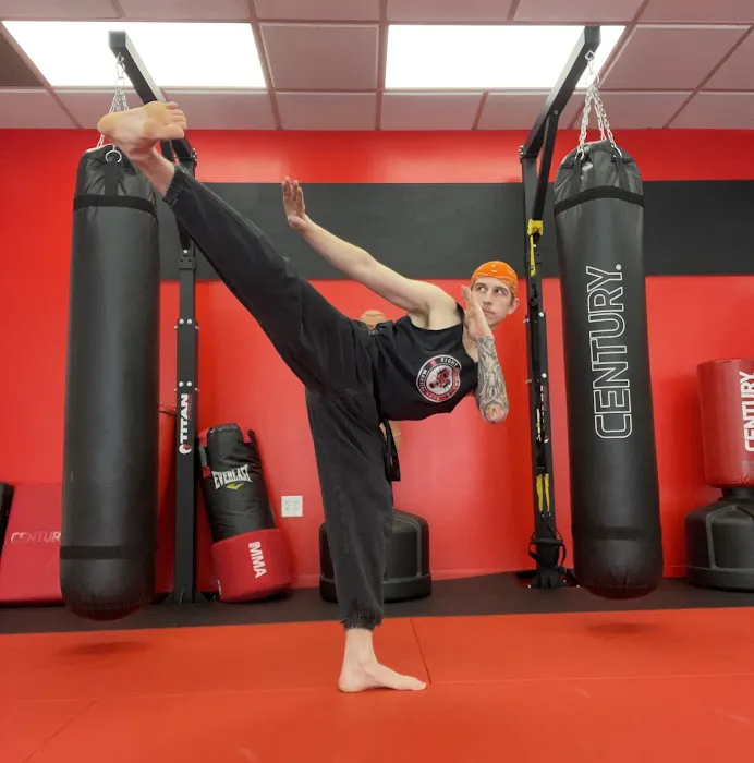 Eight Animal Martial Arts Picture 4