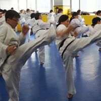 Jae Hun Kim Taekwon-do Institute ico