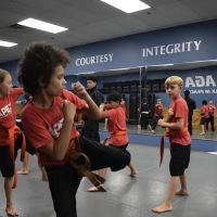 Apex Defense Waltham ico