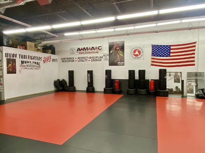 American Martial Arts Center Picture 2