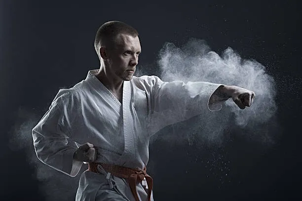 American Martial Arts Center Picture 9