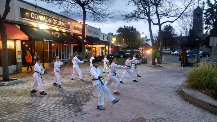 Zhen Ren Chuan Martial Arts Picture 5