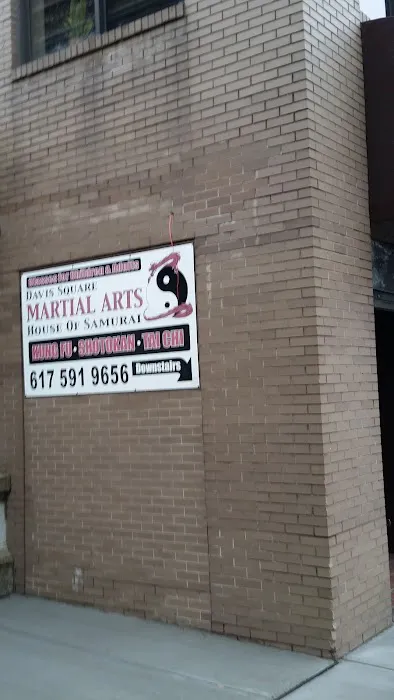 Davis Square Martial Arts Picture 1