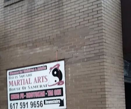 Davis Square Martial Arts