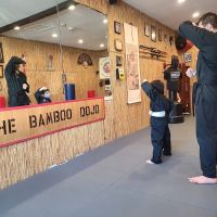 Bushido Martial Arts Academy ico