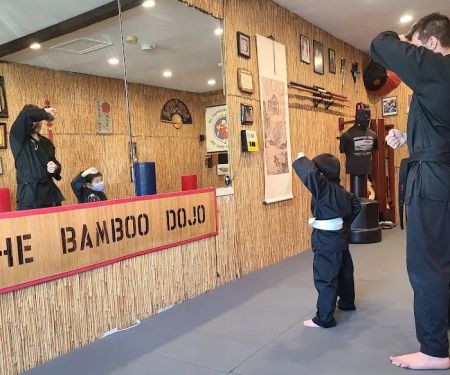 Bushido Martial Arts Academy
