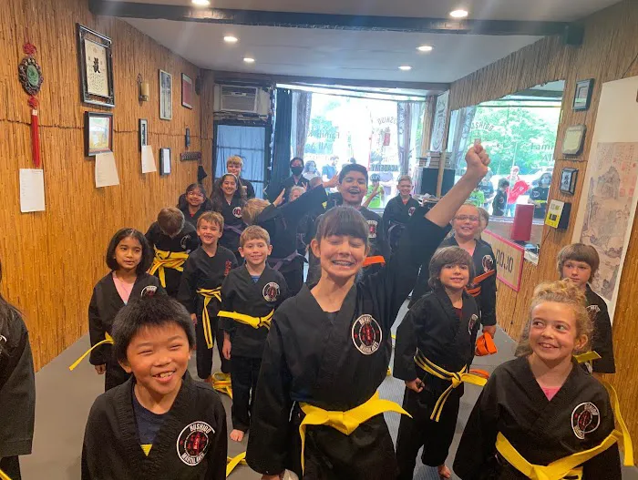Bushido Martial Arts Academy Picture 3