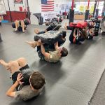 Roshankish Krav Maga